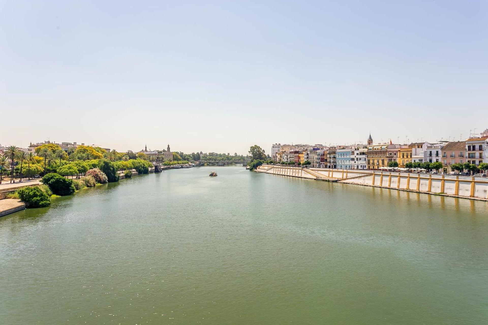 Appartement Sunterrace Loft In Triana, 10' From Feria And Center! Séville